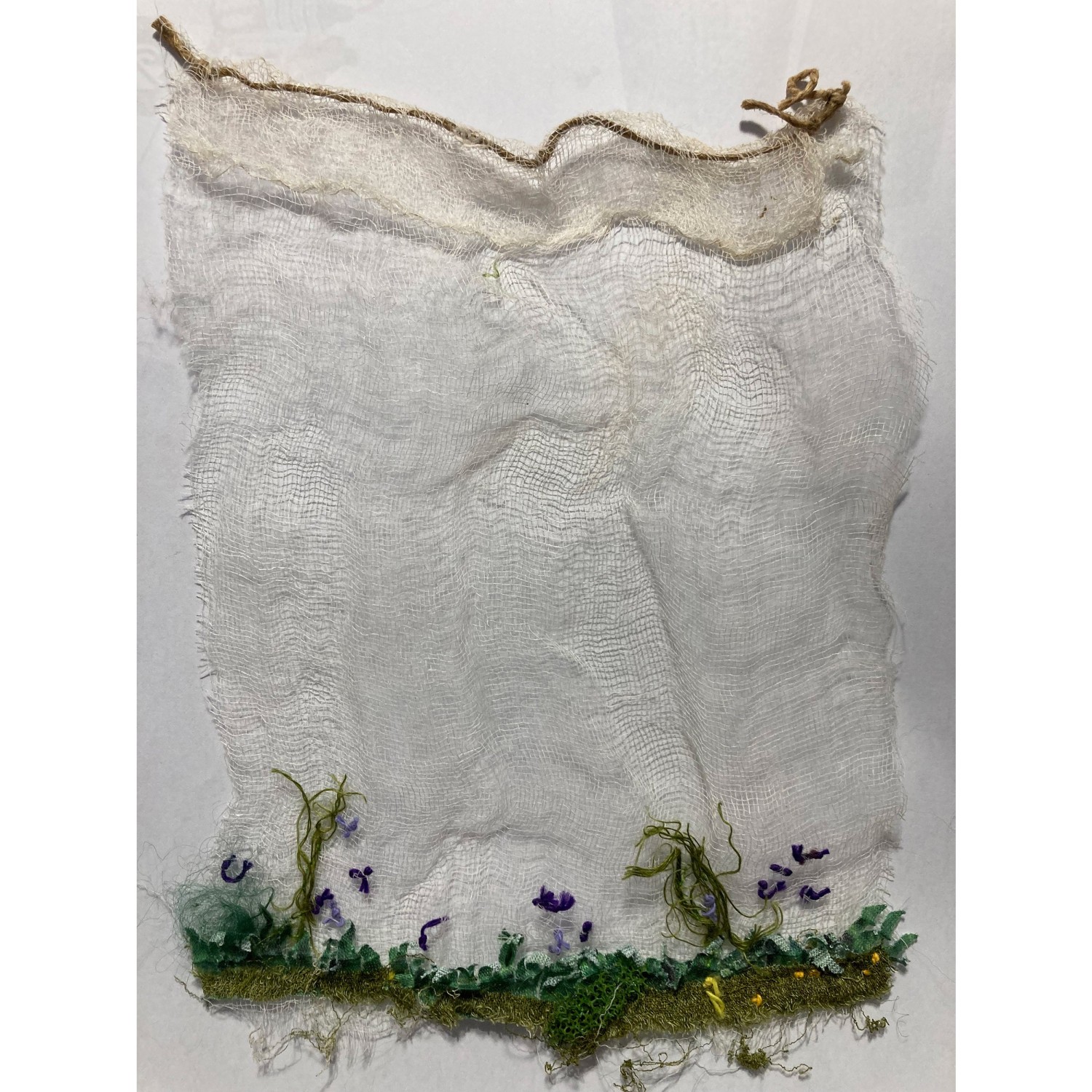 web-fleurs-fragiles.jpg
